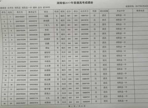 2017祁阳一中高考成绩