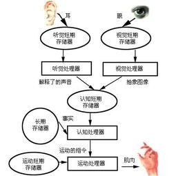 认知疗法的重点