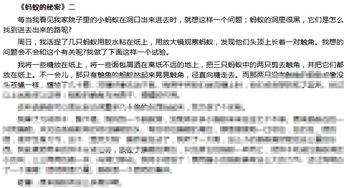 写蚂蚁的作文