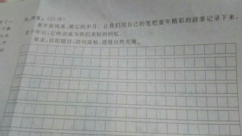 童年趣事四年级作文