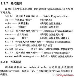 疑问副词主要有哪些?