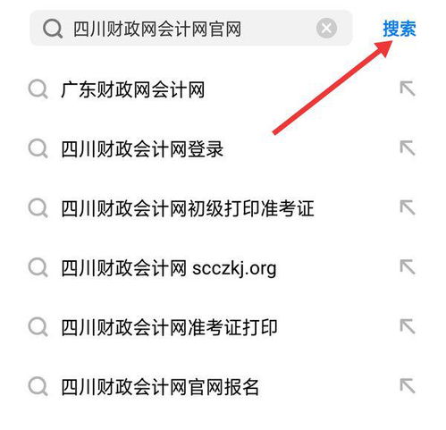 四川财政会计网网址