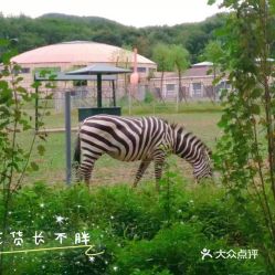 哈尔滨北方森林动物园有哪些动物?