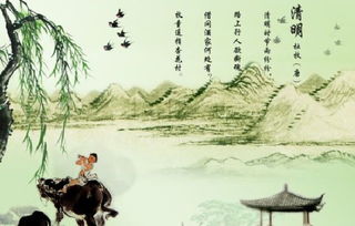 清明古诗意思全解，清明古诗意思全解20字