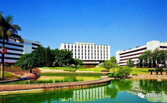 深圳大学的后海、粤海、沧海校区到底怎么分?