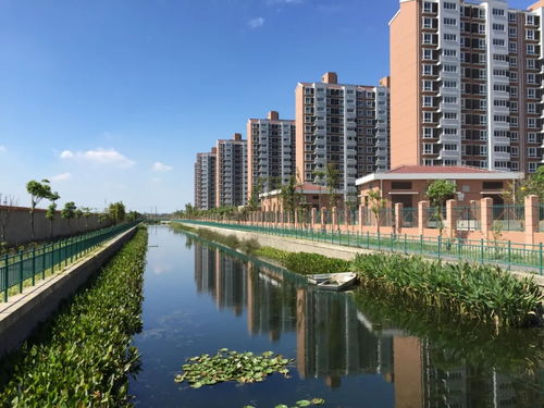 河道的意思解释