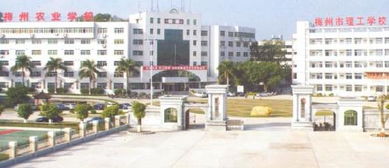 梅州市技校前十名学校