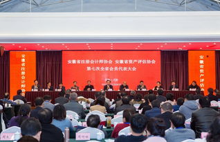 安徽注册会计师协会是什么