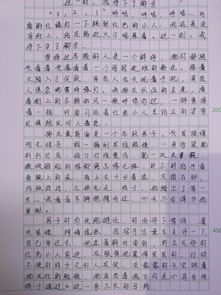 脚步的作文