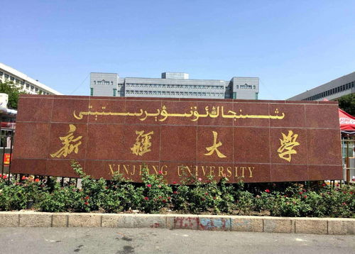 新疆大学有会计学硕的专业吗