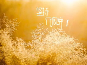 阳光句子简短，阳光句子简短一句话一年级下册