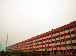 四川三河职业技术学院，四川三河职业技术学院学费