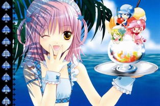 守护甜心亚梦资料