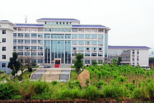 广东信息工程职业学院，广东信息工程职业学院是野鸡大学吗?