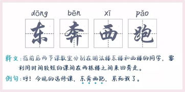 类似于东奔西跑的成语