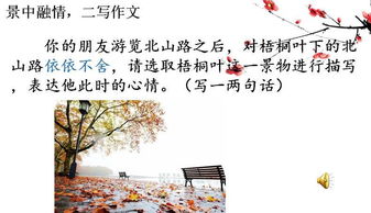 一篇初夏融情于景的作文