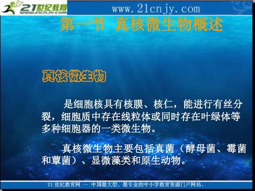 关于全国生物竞赛