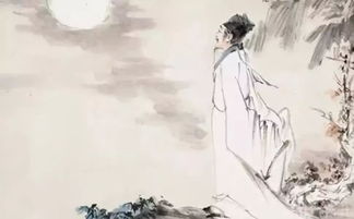 苏轼的生平经历，苏轼的生平经历100字