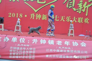 南部论坛麻辣社区舆论版在哪个地方?