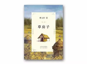 草房子的梗概，草房子的梗概作文600字