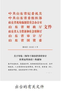 经济责任审计报告范文，经济责任审计报告范文5篇