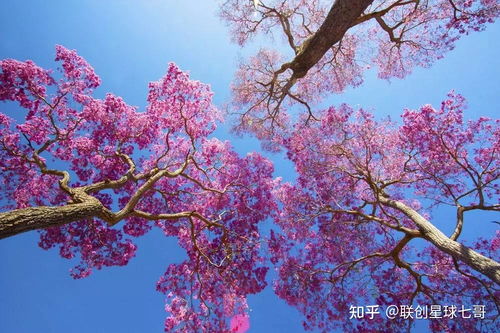 描写春夏秋冬的成语，描写春夏秋冬的成语各10个
