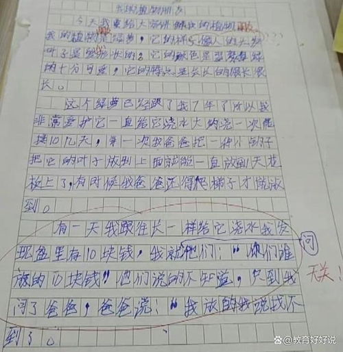 作文写一种植物，作文写一种植物桃花