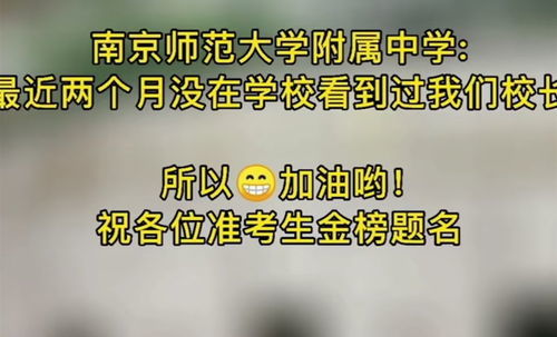 惴惴不安的读音，惴惴不安的读音chuai