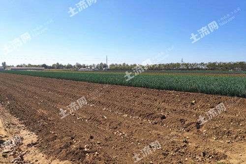 河南农业大学排名