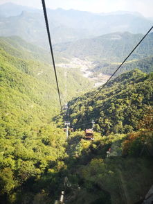 巍然屹立的意思