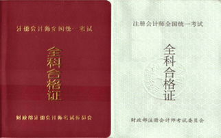 山东注册会计师，山东注册会计师人数