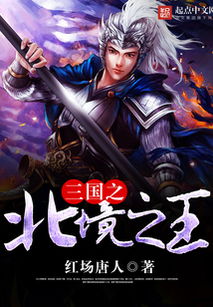 三国之北境之王，三国之北境之王小说