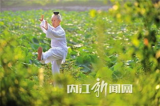 翩翩起舞造句，翩翩起舞造句三年级
