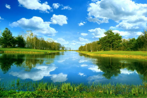 描写风景的优美语句有哪些?