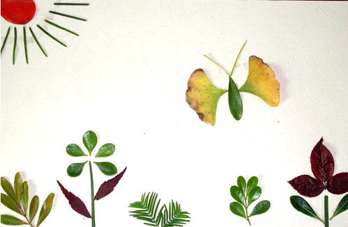 手工树叶贴画教程