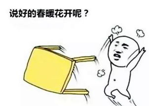 人情冷暖是什么意思?