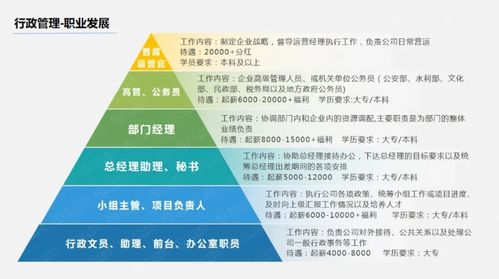 大学什么专业就业前景好