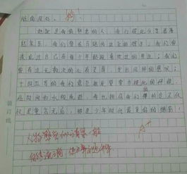 关于友情的作文800字，初中关于友情的作文800字
