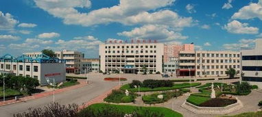山东石油大学胜利学院，山东石油大学胜利学院是公办吗