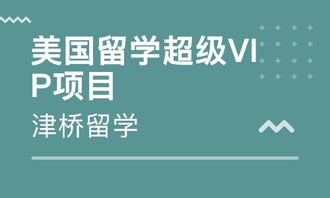 武汉出国中介，武汉出国中介机构
