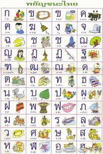 泰语入门教材推荐