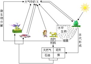 造成温室效应的主要气体，二氧化碳是造成温室效应的主要气体