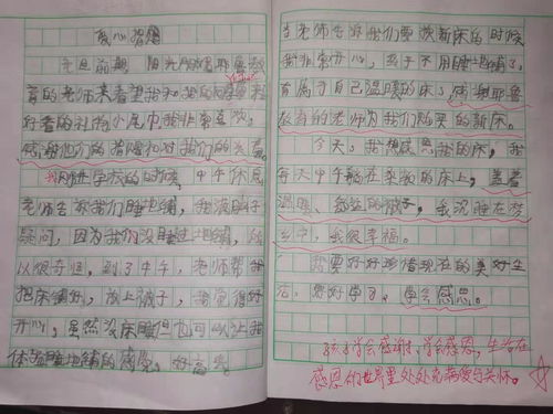 学会感恩作文，学会感恩作文600字初中