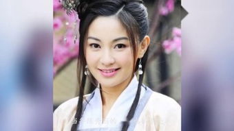 孙耀琦和陈秀丽像不像