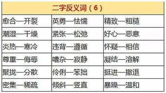 保存的反义词是什么