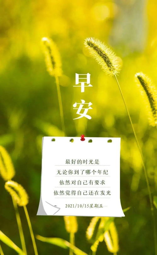 早安说说，早安说说简单气质一句话