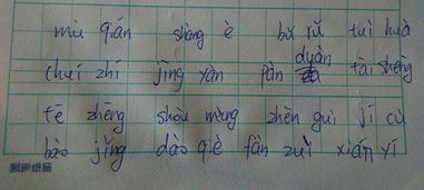 入肉是什么字,读音?