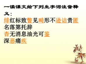 藤野先生公开课教案
