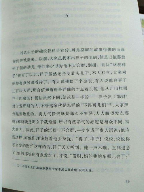 骆驼祥子作文，骆驼祥子作文梗概