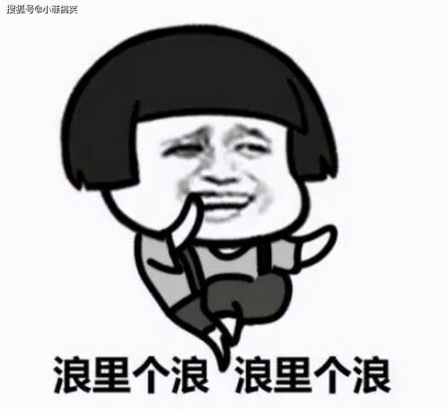 一本正经的意思是什么